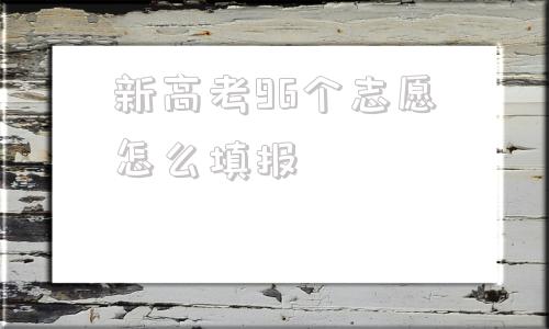 关于新高考96个志愿怎么填报的信息