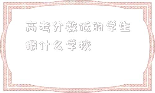 高考分数低的学生报什么学校,高考分数300分可以报什么学校