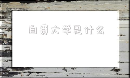 自费大学是什么(自费医疗是什么意思)